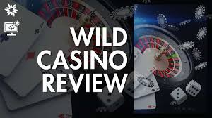 Wild Joker Casino Review: Our Decision